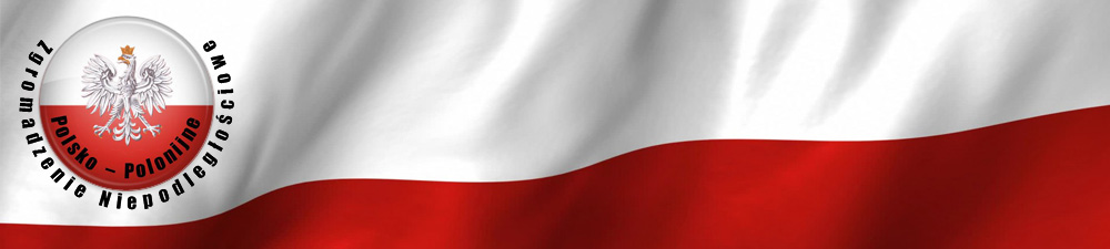 Polsko-Polonijne Zgromadzenie Niepodległościowe